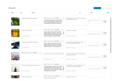 Captură de ecran a unei galerii de editare a imaginilor, afișând o listă de imagini cu titluri, descrieri, texte alternative, opțiuni de filtrare și acțiuni de salvare sau ștergere. Fiecare rând conține o miniatură a imaginii și câmpuri text pentru editarea informațiilor asociate acesteia.