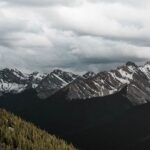Mountain range with snow-capped peaks and evergreen forest under cloudy sky with bug character illustration.